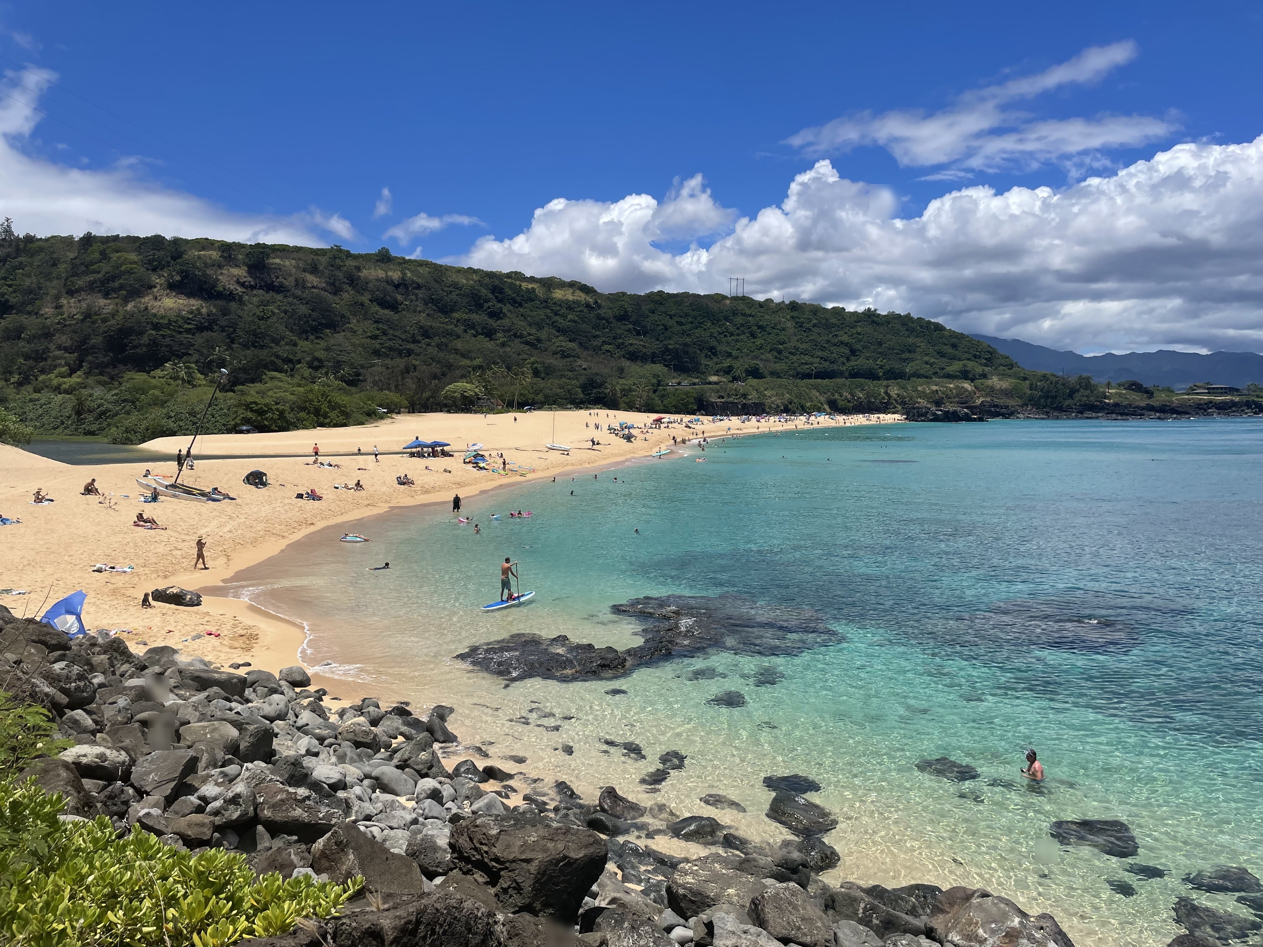 Watch the North Shore Big Waves - Oahu, Hawaii